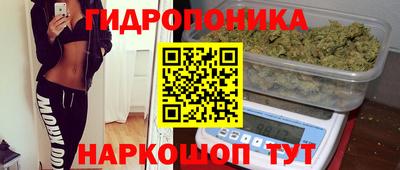 сатива Ачхой-Мартан