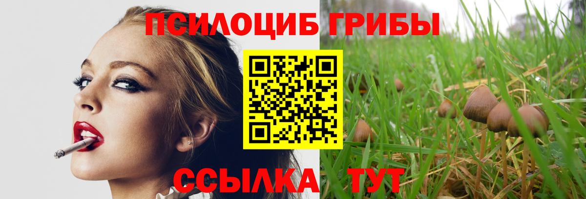 Псилоцибиновые грибы MAGIC MUSHROOMS  Галлюциногенные грибы мицелий  Белорецк  Вход с VPN 