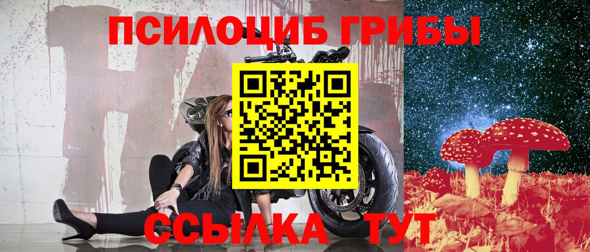 Псилоцибиновые грибы Psilocybine cubensis Белорецк